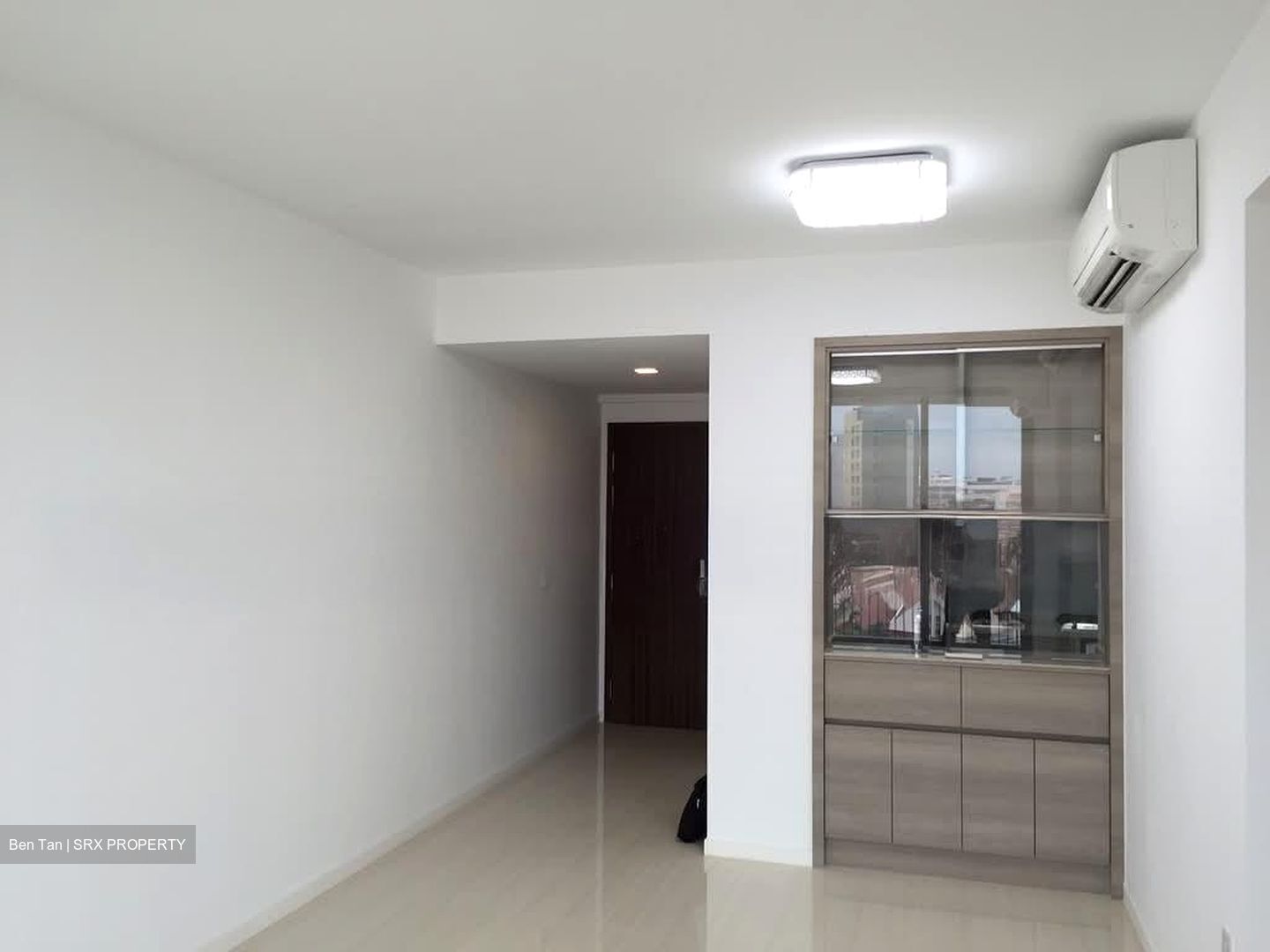 Sant Ritz (D13), Condominium #536548701